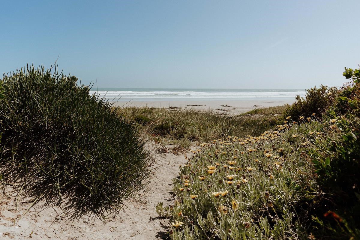 Lilla&#39;s Landing - Paternoster Rentals