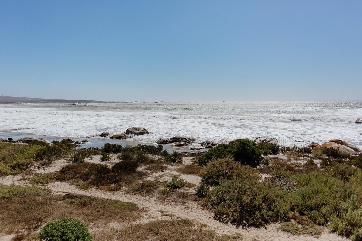 Waves Temp - Paternoster Rentals