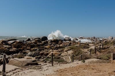 Into the Mystic - Paternoster Rentals