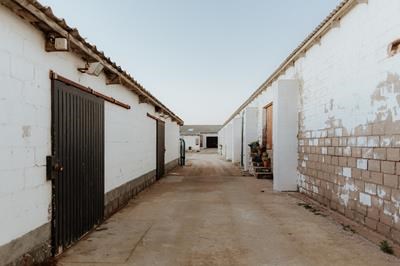Into the Mystic - Paternoster Rentals