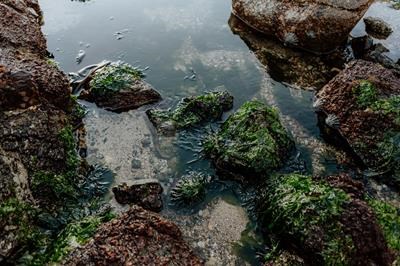 Into the Mystic - Paternoster Rentals