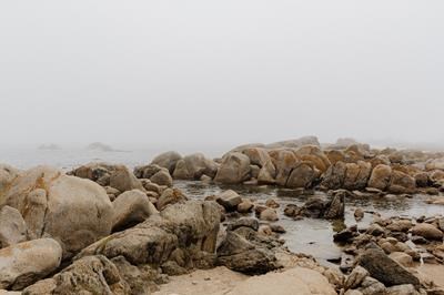 Into the Mystic - Paternoster Rentals
