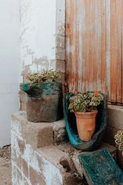 Into the Mystic - Paternoster Rentals