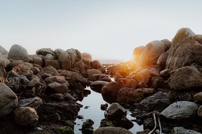 Into the Mystic - Paternoster Rentals