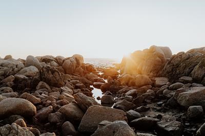 Into the Mystic - Paternoster Rentals